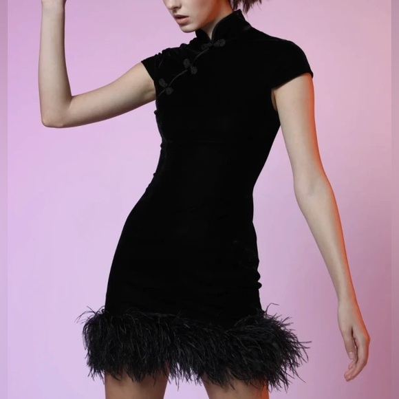 SAU LEE | NWT! Women's Morgan Feather-trimmed Minidress In Black - Picture 2 of 8